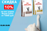 Скидка 10% на ветеринарные корма Royal Canin от 1000 рублей. Скидка 10% на ветеринарные корма Royal Canin от 1000 рублей.