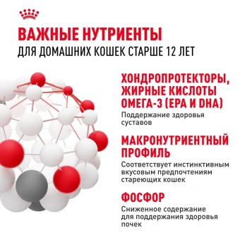 Эйджинг в желе 85г