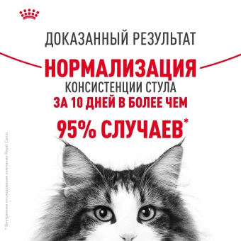 Дайджестив Кэа Кошка 2 кг