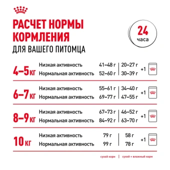 Мэйн Кун Эдалт АКЦИЯ цена за 1 кг (13кг )