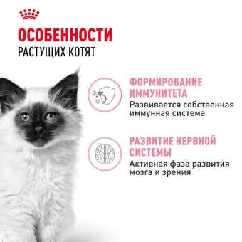Киттен соус 85 гр