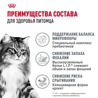 Дайджестив Кэа Кошка 0,4 кг