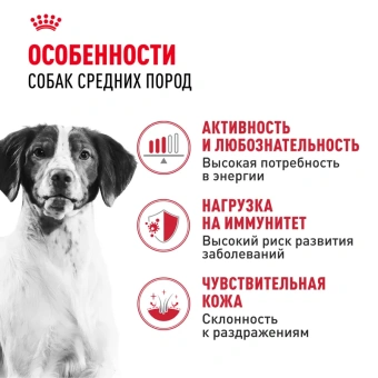 Медиум Эдалт Акция 1кг (20)