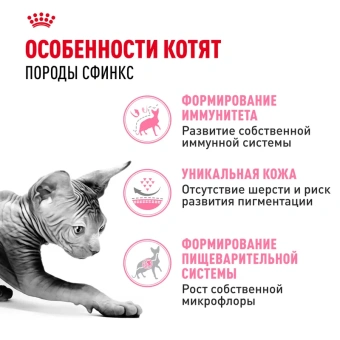 Киттен Сфинкс 0,4кг