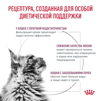 Ренал с говядиной соус 28*85г