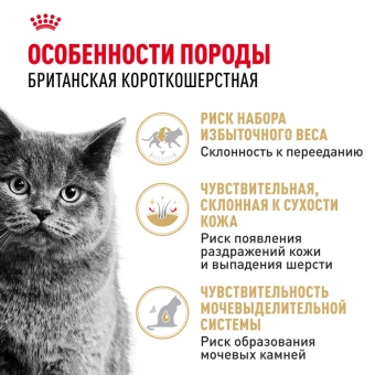 Британская короткошерстная соус 12*0,085кг