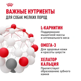 Мини эдалт 2кг