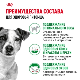 Мини эдалт 2кг