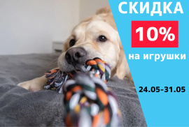 Скидка 10% на игрушки 