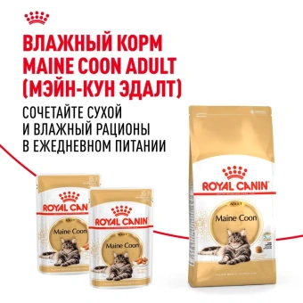 Мэйн Кун Эдалт АКЦИЯ цена за 1 кг (13кг )