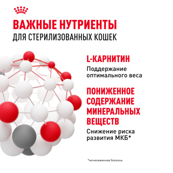 Стерилайзд в желе 0,085кг