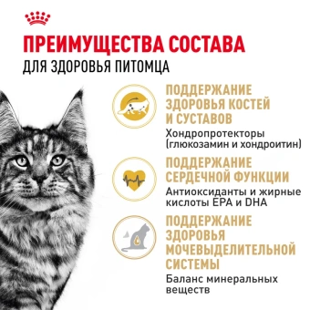Мэйн Кун Эдалт АКЦИЯ цена за 1 кг (13кг )