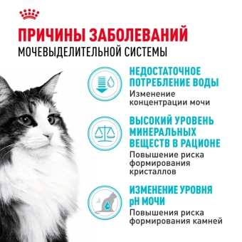 Уринари Кэа Кошка 2 кг