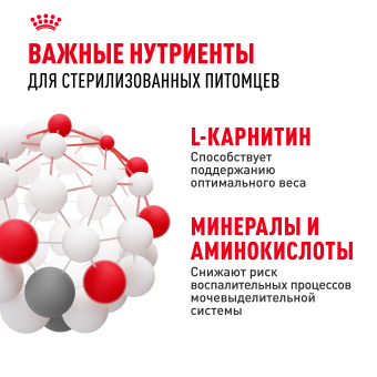 Стерилайзд 37 0,2 кг