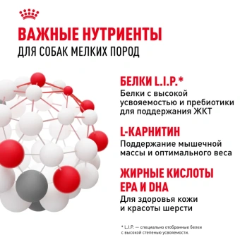 Мини Эдалт 85г