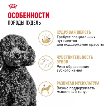 Пудель Эдалт для взр собак 1.5 кг