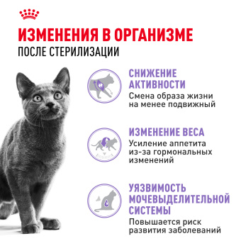 Стерилайзд 37 0,2 кг