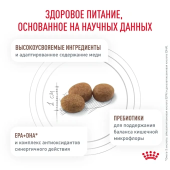 Гепатик ХФ 26 (фелин) 1кг
