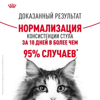 Дайджестив Кэа Кошка 0,4 кг