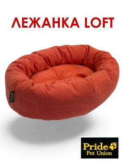 Лежанка овальная LOFT, цвет коралловый 81х58			