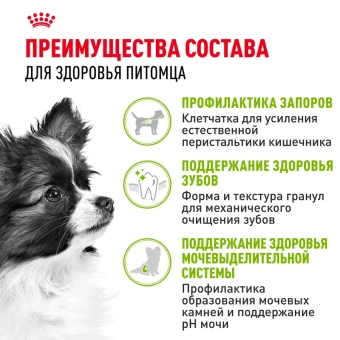 Икс-смол Эдалт 3кг (цена 1кг)