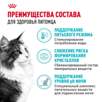 Уринари Кэа Кошка 2 кг