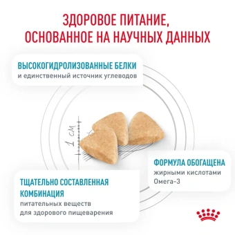Гипоаллердженик Кошка 2 кг