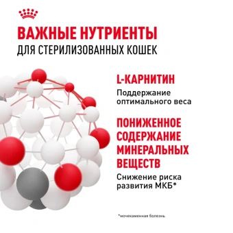 Стерилайз желе 85 гр