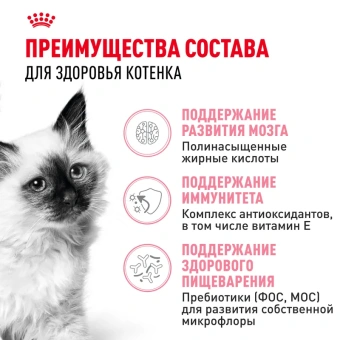 Киттен Акция цена за 1кг (13)