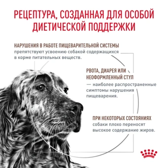 Гастро-Интестинал 1,5 кг Лоу Фэт ЛФ22 (канин) цена за 1кг