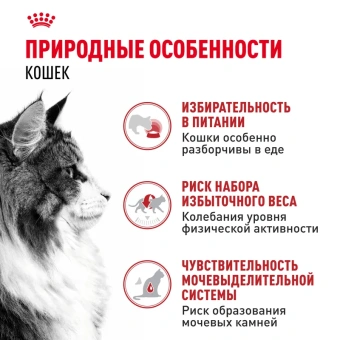 Инстенктив желе