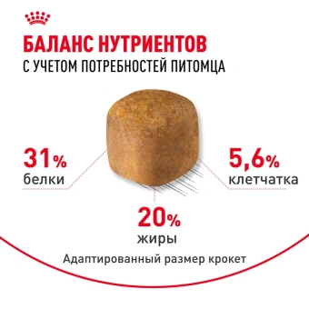 Мэйн Кун Эдалт АКЦИЯ цена за 1 кг (13кг )