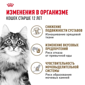 Эйджинг в желе 85г