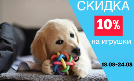 Скидка 10 % на игрушки 