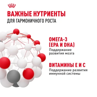 Киттен соус 85 гр