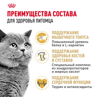 Британцы 2КГ