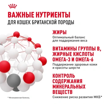 Британская короткошерстная соус 12*0,085кг