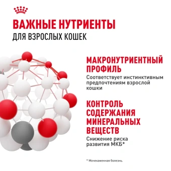 Инстенктив желе