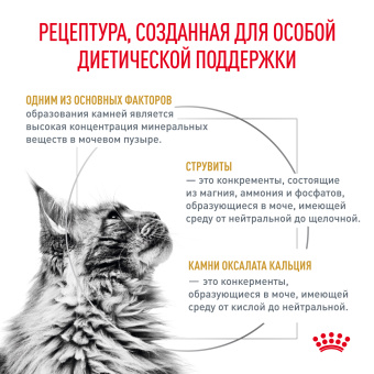 Уринари С/О ЛП 34(фелин) 0,35кг