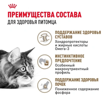Эйджинг в желе 85г