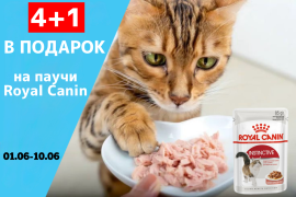 4+1 в Подарок на паучи Royal Canin. 