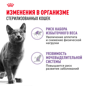Стерилайзд в желе 0,085кг