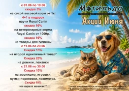 Акции месяца.