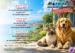Акции месяца