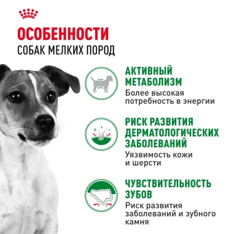 Мини эдалт 2кг