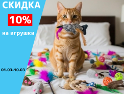 Скидка 10% на игрушки 