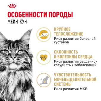 Мэйн Кун Эдалт АКЦИЯ цена за 1 кг (13кг )