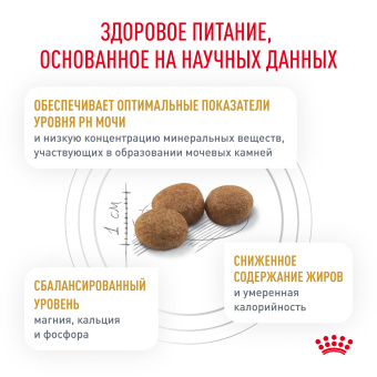 Уринарий С/О Мод.Кэлори (фелин) 0,4кг