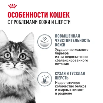Хэйр Энд Скин Кэа Кошка 2 кг