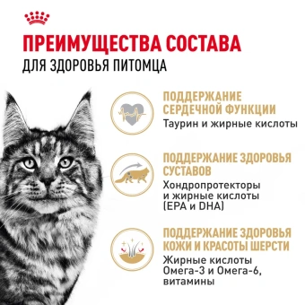 Мэйнкун соус 12*0,085кг